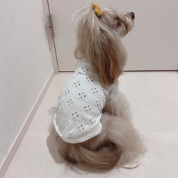 くまさん