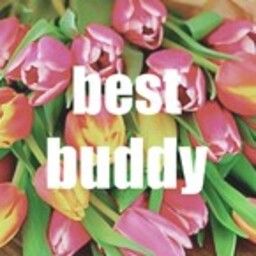 best buddy