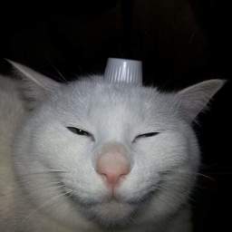 mmiok.g