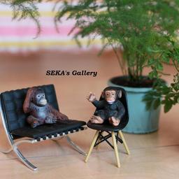 SEKA