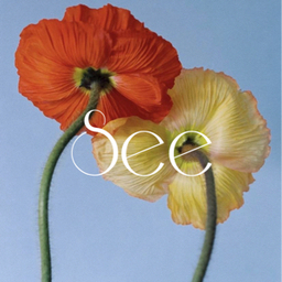 SEE