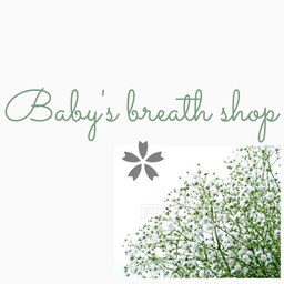 Baby's breath shop