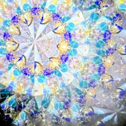 悠(yuu)