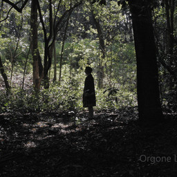 orgone-labo