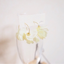 fleur blanche  