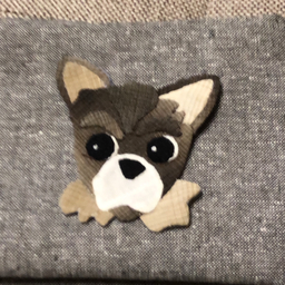 コスモス