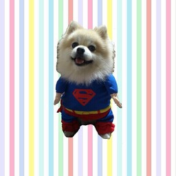 ぼーりん
