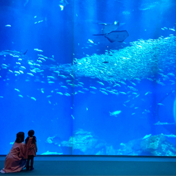 きみのぱれっと