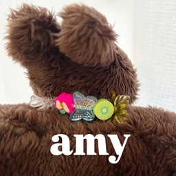 amy