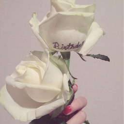 Birthday