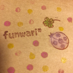 funwari*mie
