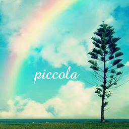 piccola