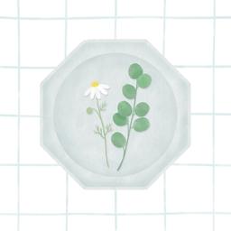 Atelier arrosage