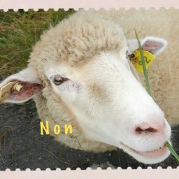N o n 
