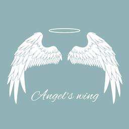 angelwing_craft