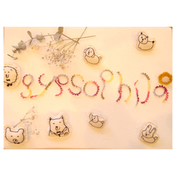 gypsophila08