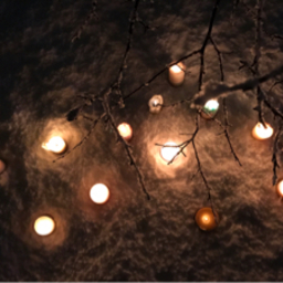 ~Melvins Candle~
