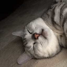 ゆちょん