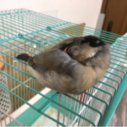 もえの工房