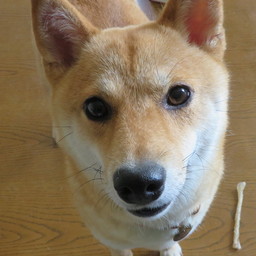 カル