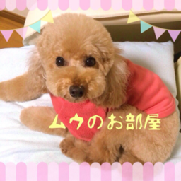 ムウのお部屋