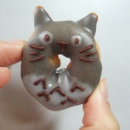 Iomi 