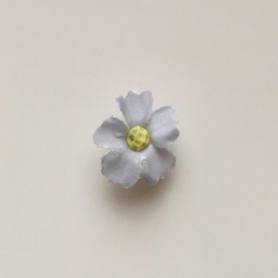 Chipp Hana Flower
