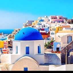 ✰chouchou(ｼｭｼｭ)✰