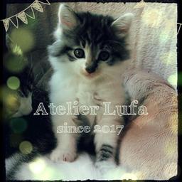 Atelier Lufa