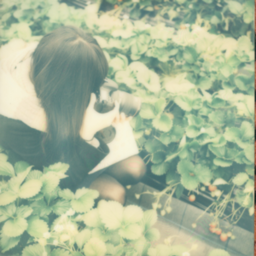 shouhiromi