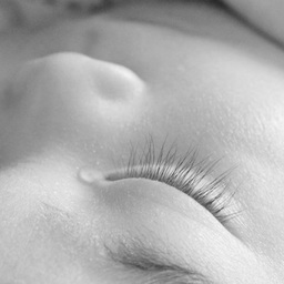 mametan 