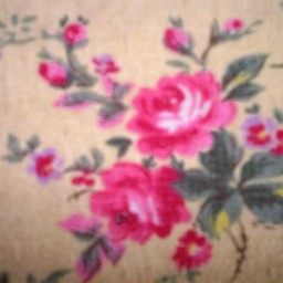 ｈｉｒｏｔａｎ　１９５８