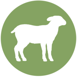 wi0801