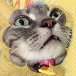 ＊pin＊ 消しゴムはんこ 