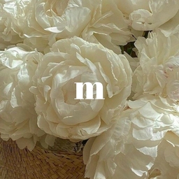 m-partsshop
