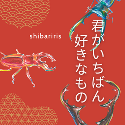shibariris