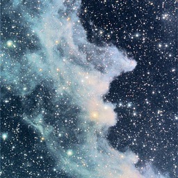 宇宙星さん