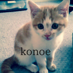 konoe