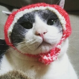 さぁやりん