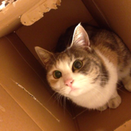 maru0215