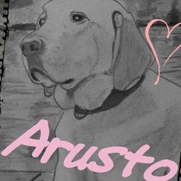 Arusto
