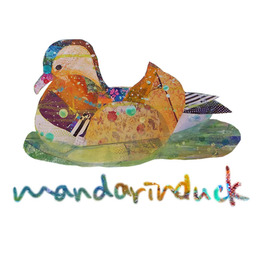 mandarinduck
