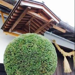 shinmokku