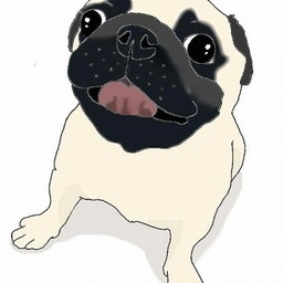 Yonekoro