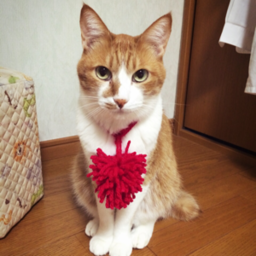 みっさん