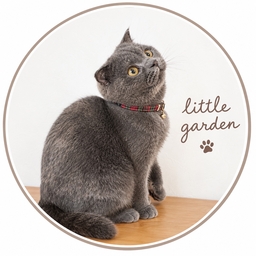 優しい首輪 little garden