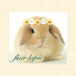 fleur-lapin