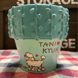 tachu-haru