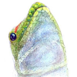だけ