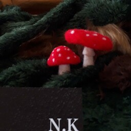 N.K